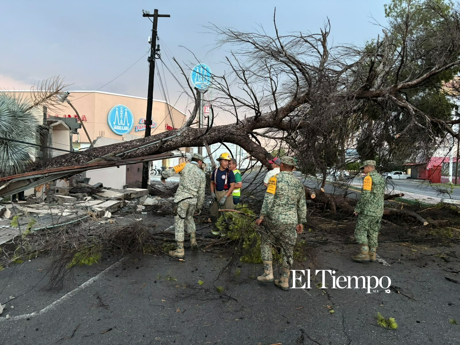 Ejército Mexicano retira árboles y espectaculares tras las lluvias en Monclova