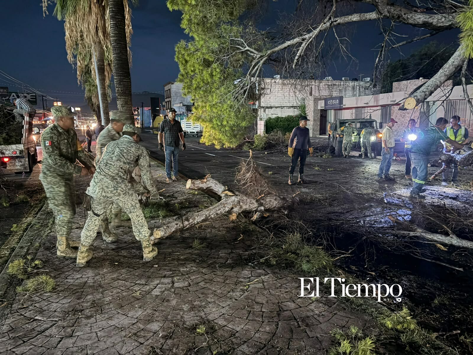 Ejército Mexicano retira árboles y espectaculares tras las lluvias en Monclova