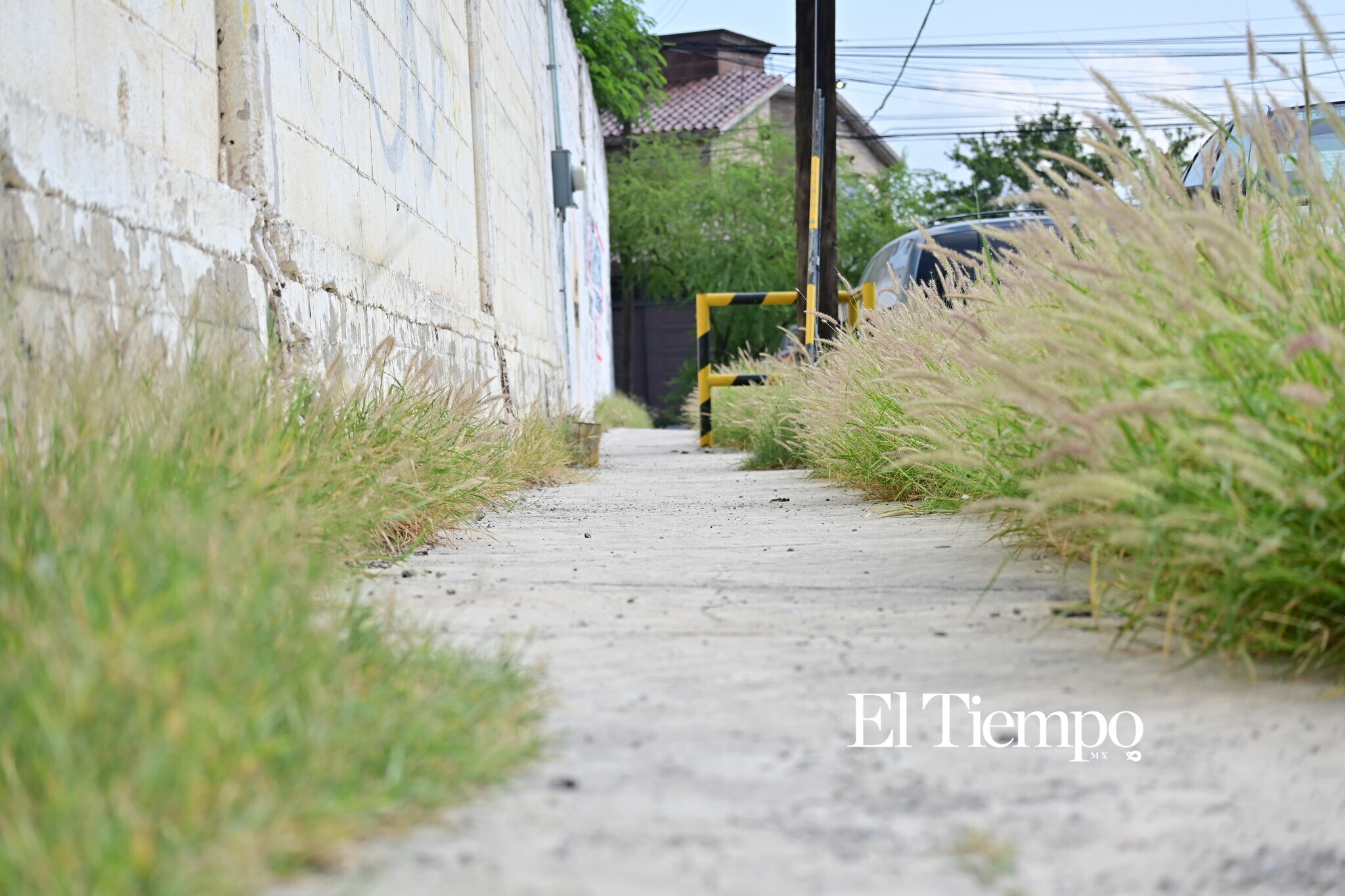 Caminar también debería ser un derecho