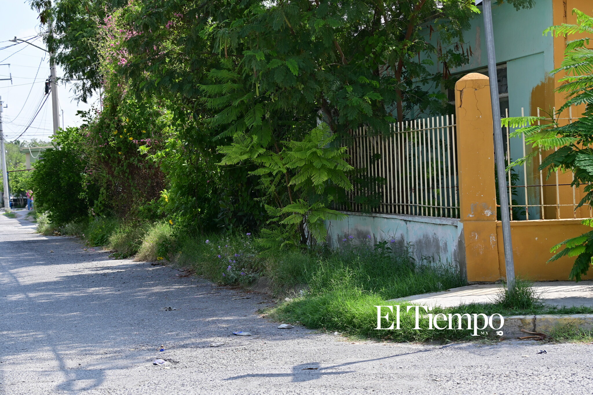 Caminar también debería ser un derecho