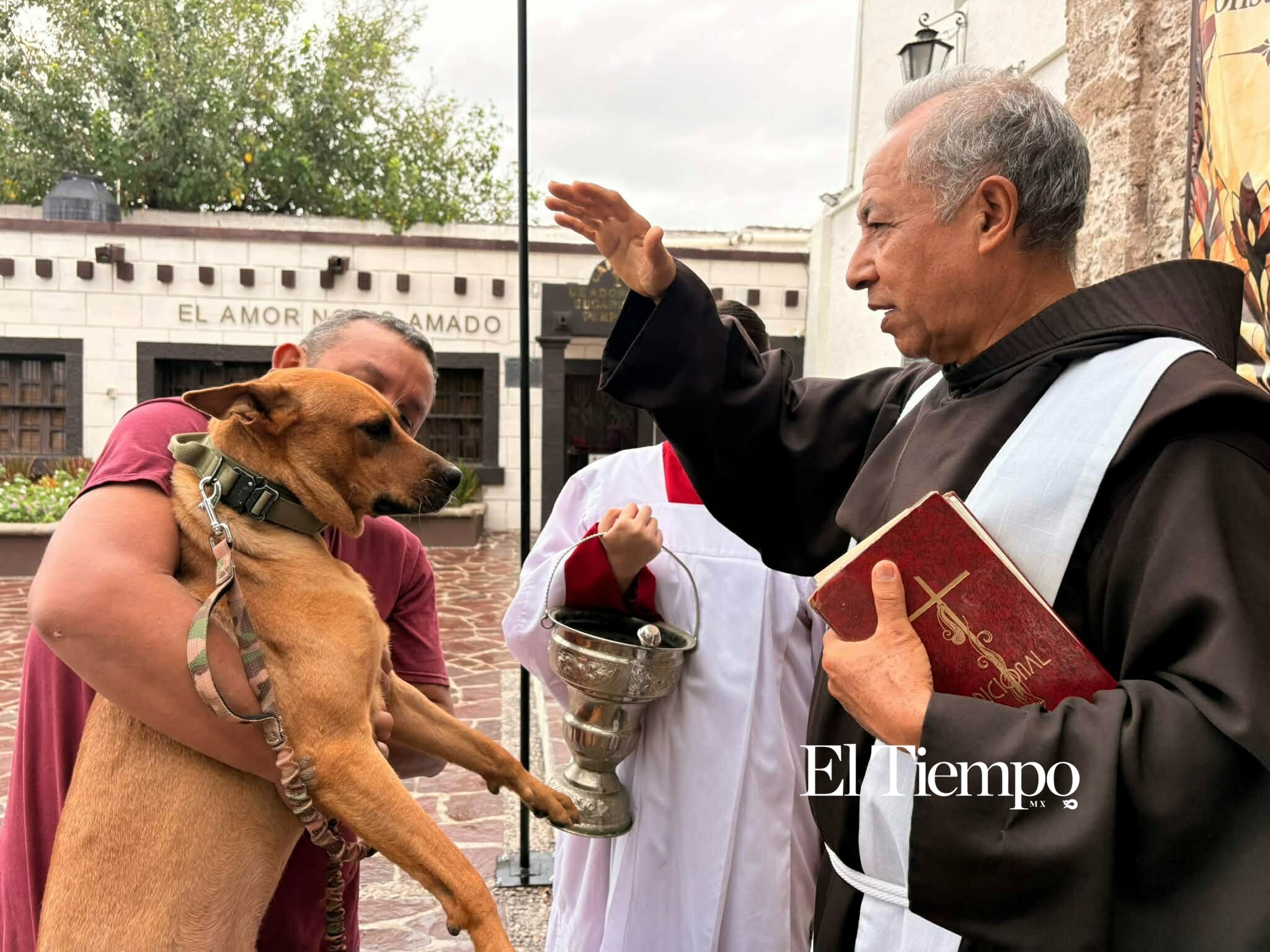 Bendicen a los animales en Monclova