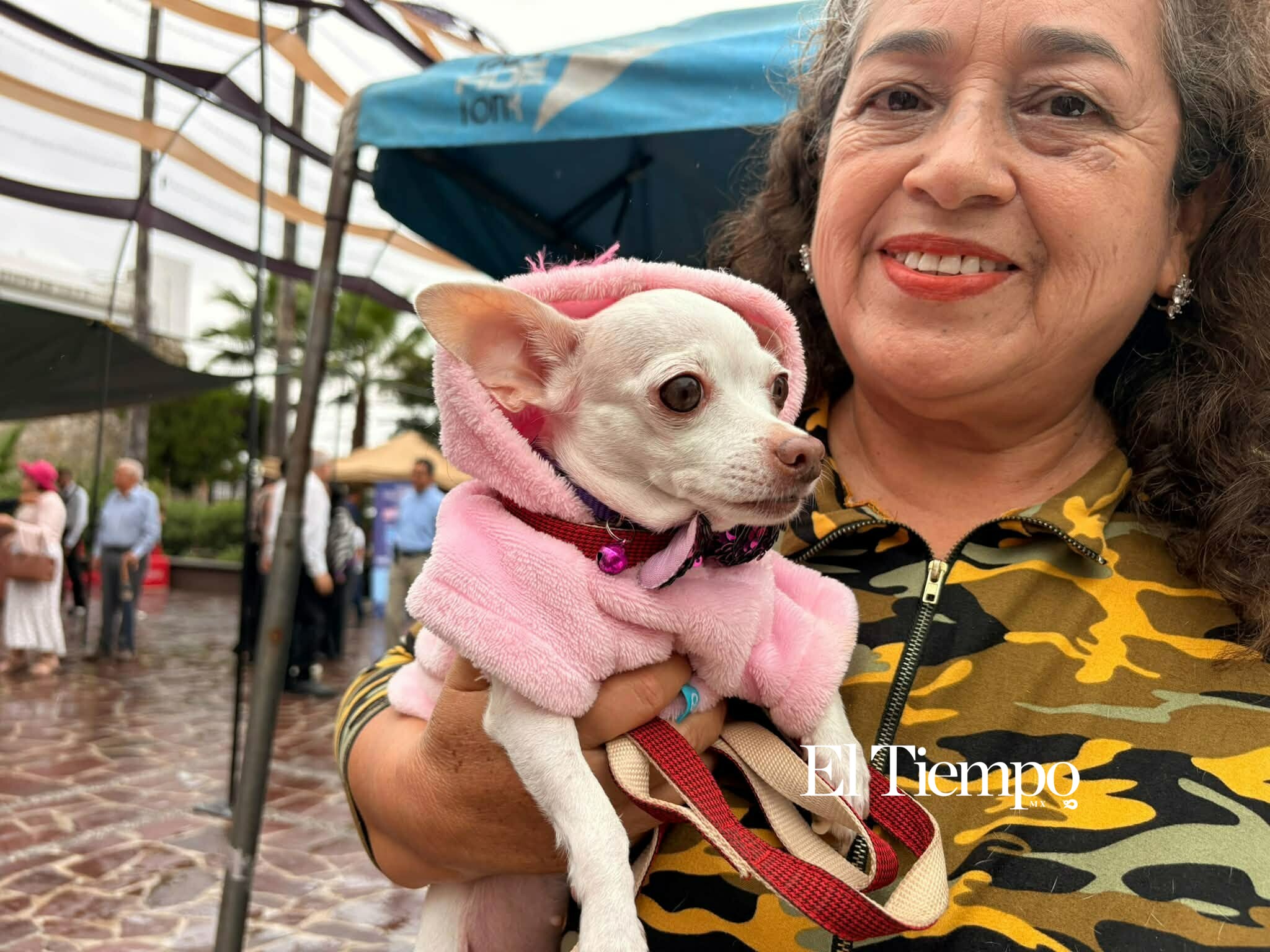 Bendicen a los animales en Monclova