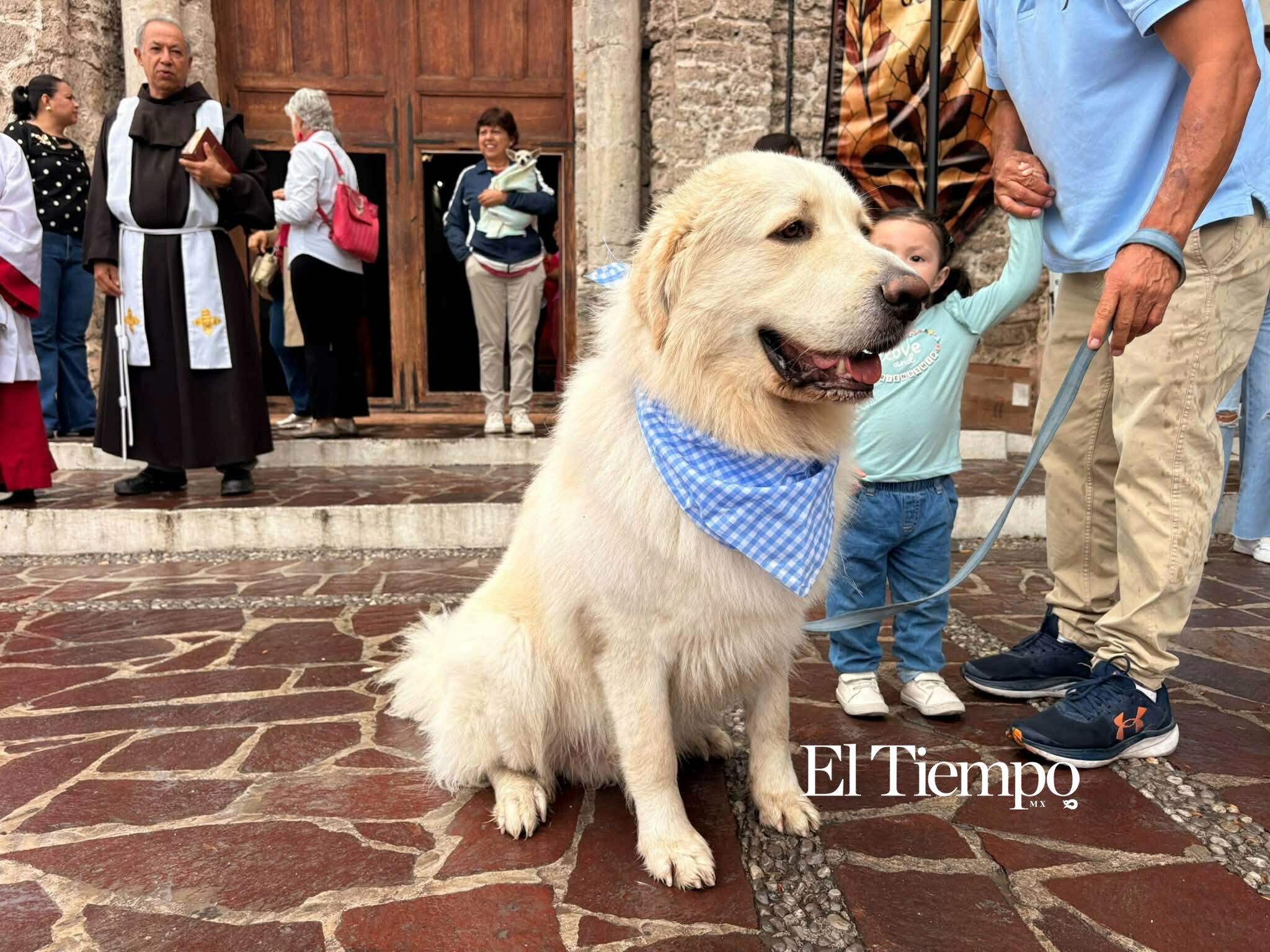 Bendicen a los animales en Monclova