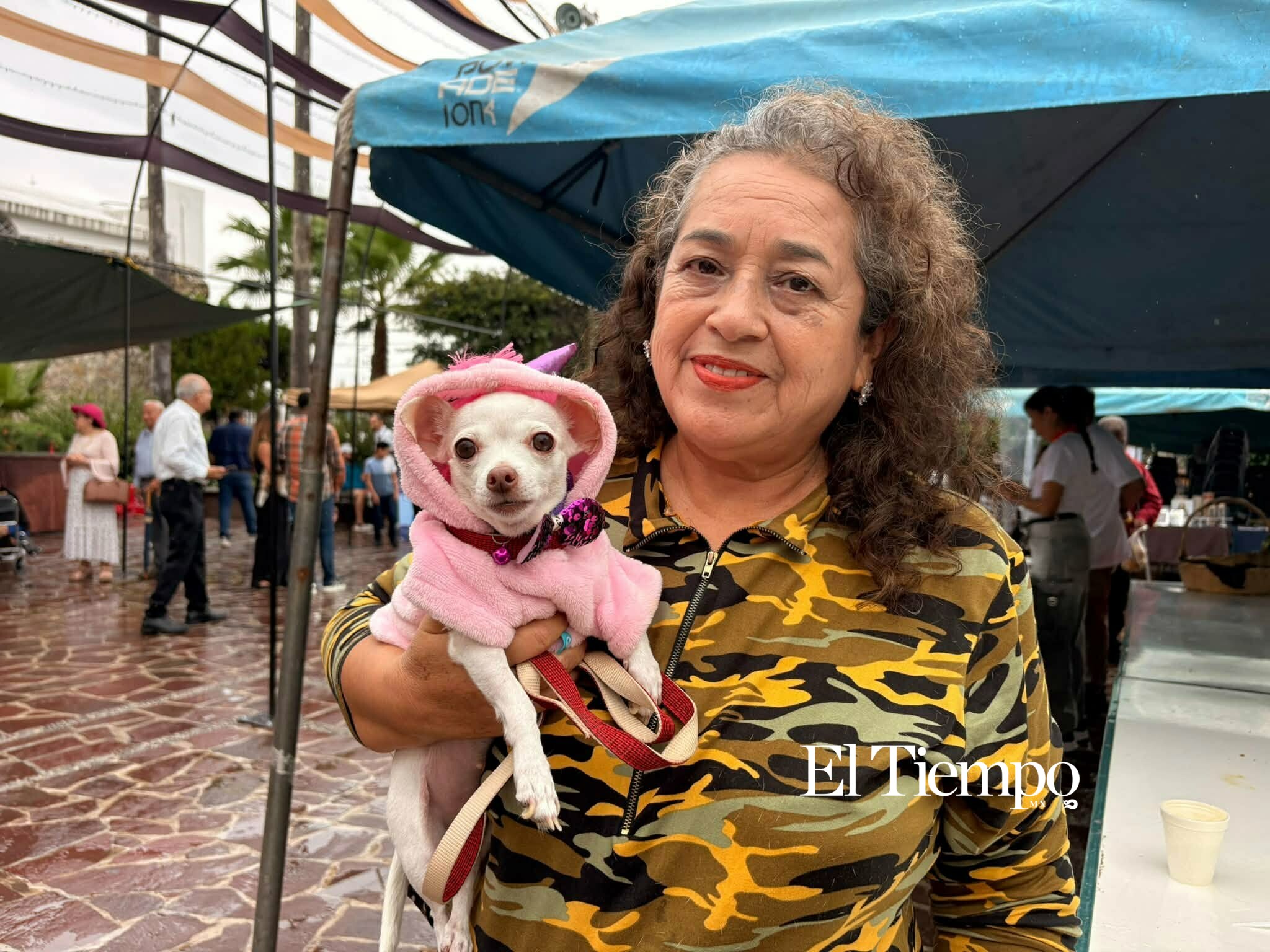 Bendicen a los animales en Monclova