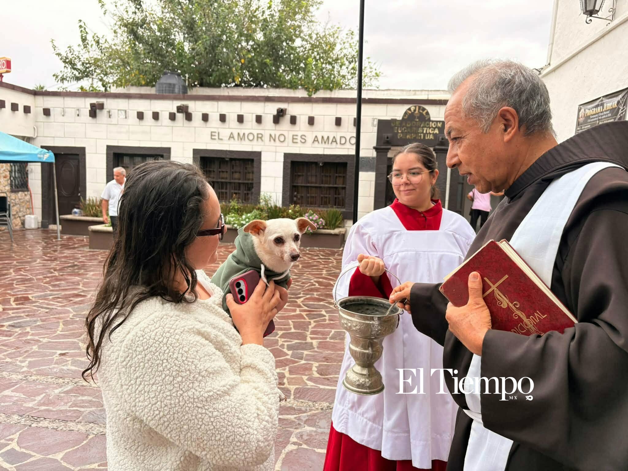 Bendicen a los animales en Monclova
