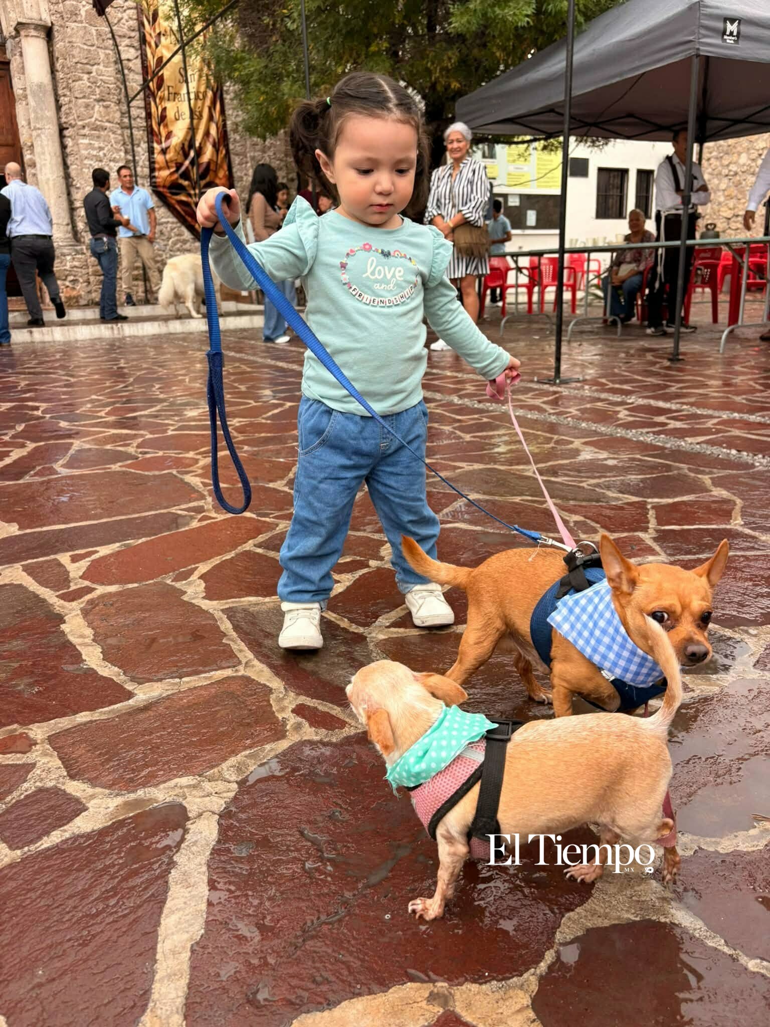 Bendicen a los animales en Monclova