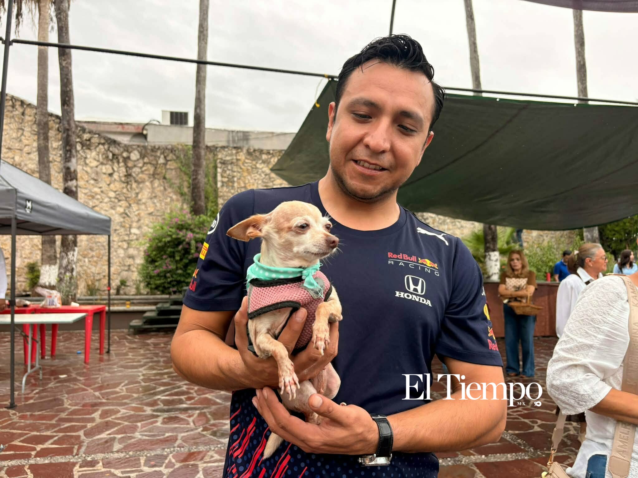 Bendicen a los animales en Monclova