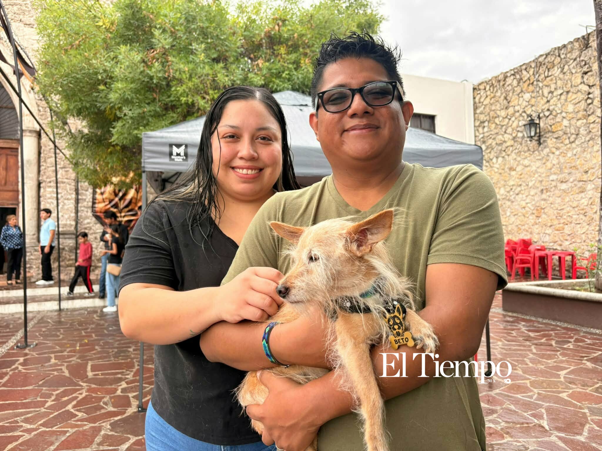 Bendicen a los animales en Monclova