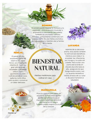 Página 22, REVISTA LA BUENA VIDA