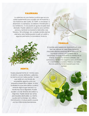 Página 23, REVISTA LA BUENA VIDA
