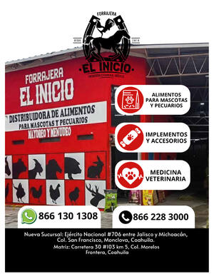 Página 27, 	 REVISTA JADE BUENA VIDA EL TIEMPO MONCLOVA