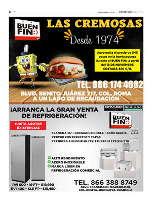 Página 6, ESPECIAL BUEN FIN 2025