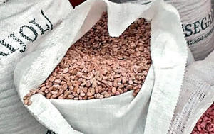 Aumentan 21% el precio de garantía del frijol