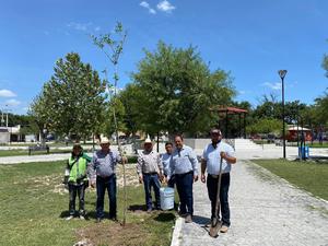 Comienza la reforestación de la plaza principal de Villa Unión