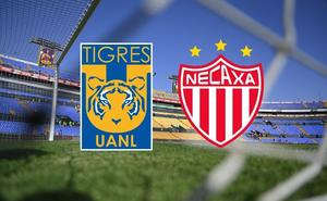 ¿Tigres entra a escena de la mano de Paunovi?