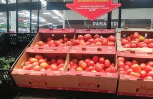 Sueldos en la región inalcanzables para la compra de lo básico