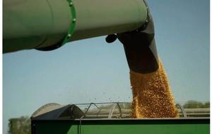 Arriesga Morena a cárnicos y huevo 