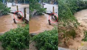 Hombre es arrastrado por corriente en Veracruz; se encuentra desaparecido