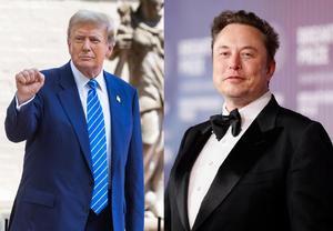 'Lotería' del millón de dólares ofrecida por Musk en apoyo a Trump genera polémica