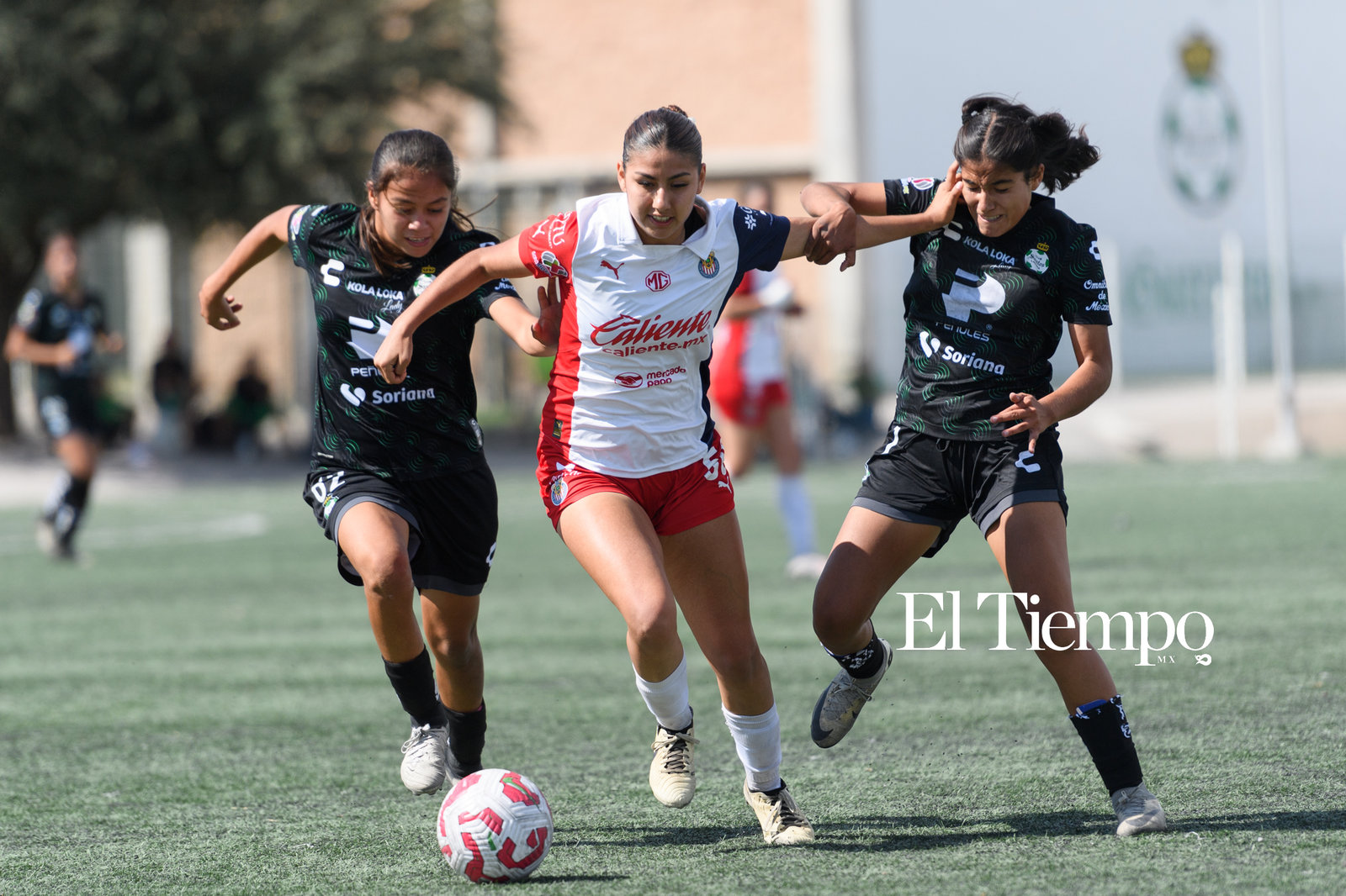 Liga MX Femenil: Liga MX Femenil sub 19, jornada 14