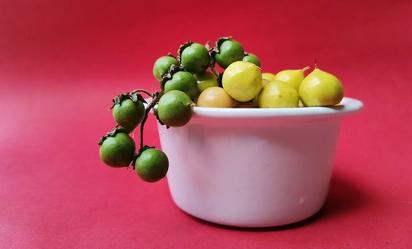 El alimento rico en proteína C que combate la oxidación de la piel