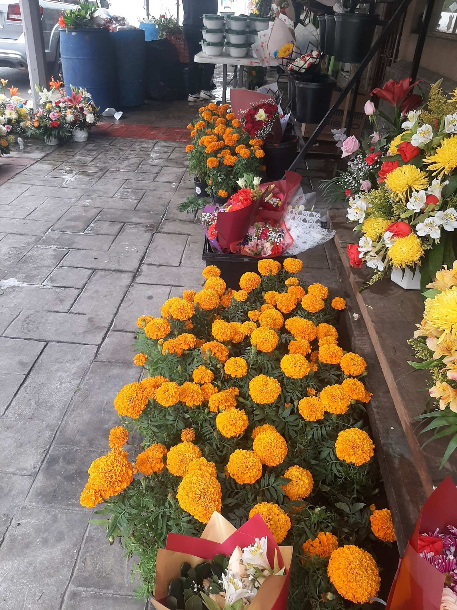 flor de cempasúchil: La flor que se distingue por su aroma y color amarillo llegó a dos florerías de Piedras Negras.
