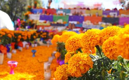 Día de Muertos: una fecha importante para el comercio