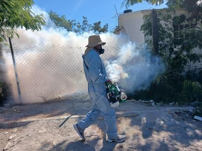 Vecinos viven entre el dengue en la Azteca y piden fumigaciones 
