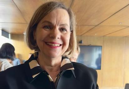 Secretaria del Medio Ambiente pide no matar a las 'polillas' o 'palomitas'