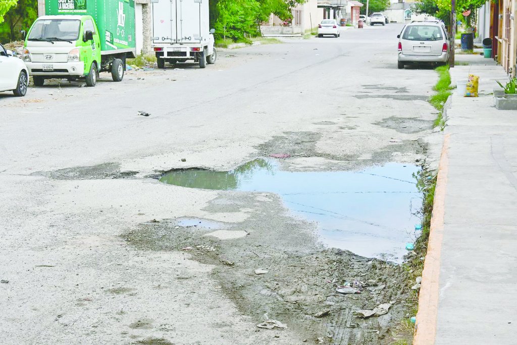 Baches