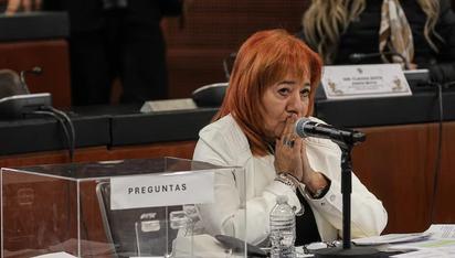 Morena y aliados acuerdan apoyar reelección de Rosario Piedra en CNDH