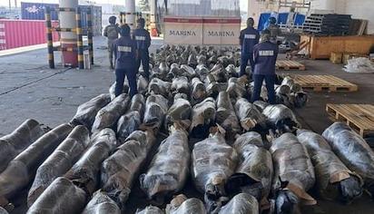 Aseguran más de media tonelada de marihuana en Veracruz 