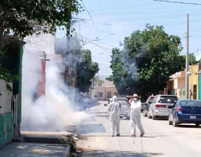 Coahuila avanza en acciones contra el dengue