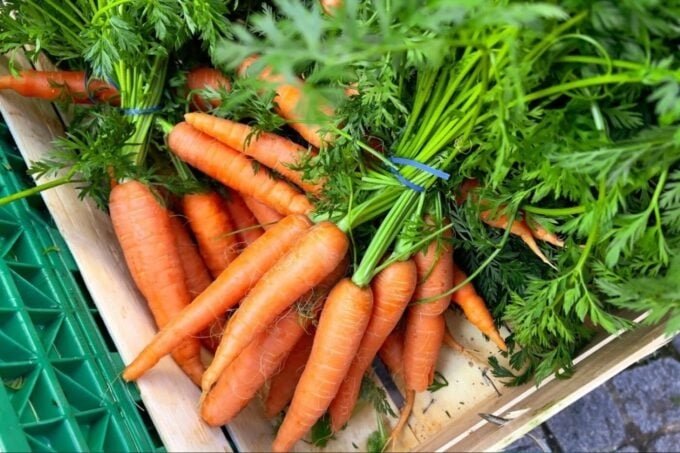La lista de productos de zanahorias contaminadas con E. coli sigue creciendo