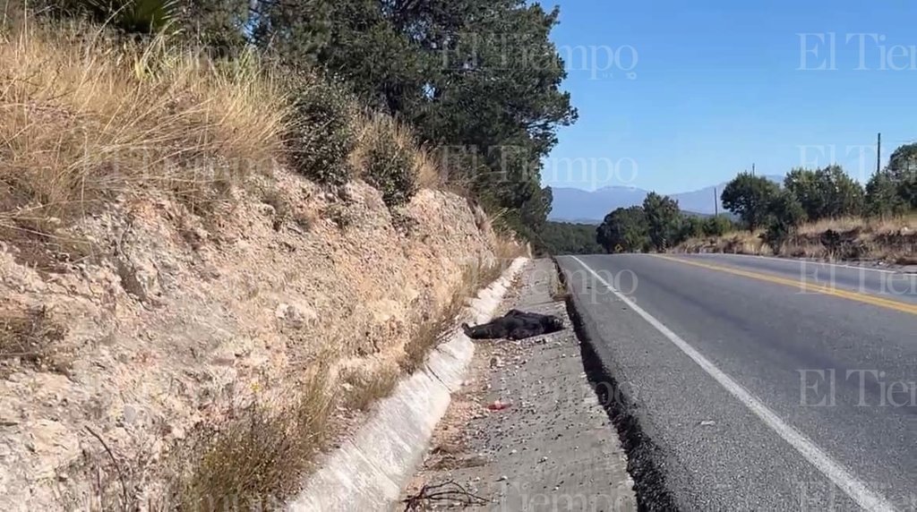 policiaca: Las autoridades ambientales analizarán el caso para determinar las acciones a seguir.