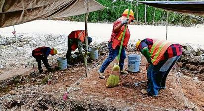 2025, sin dinero para investigación en torno a Tren Maya, critican
