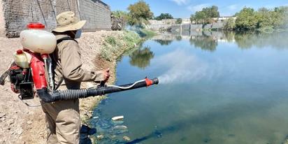 Piedras Negras con más casos de dengue en el Norte