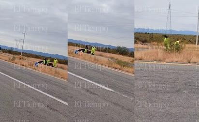 Carretera federal recibe 'manita de gato' del bachetón de la federación
