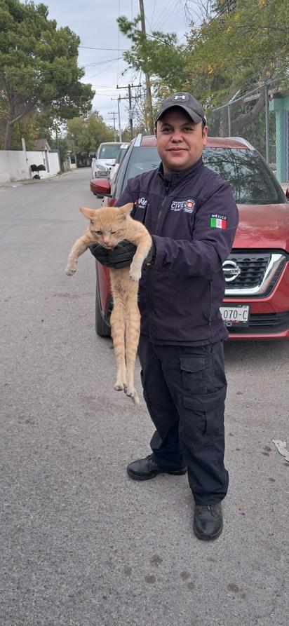 Bomberos rescatan a gatito atrapado en el motor de un vehículo 