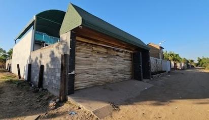 Aseguran vehículos de lujo, armas y un tigre de bengala tras cateo en finca de Sinaloa