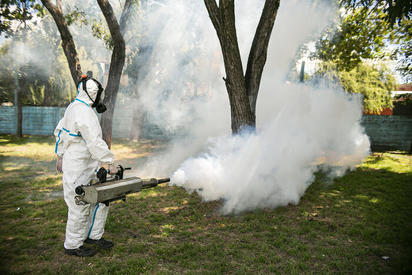 Clima frío reduce a 5 % casos de dengue