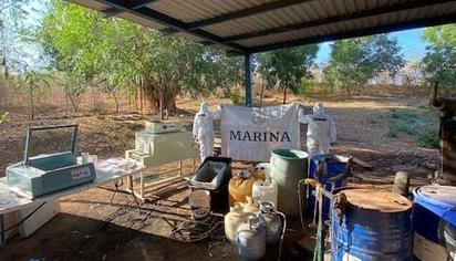 Marina neutraliza laboratorio clandestino en Sinaloa