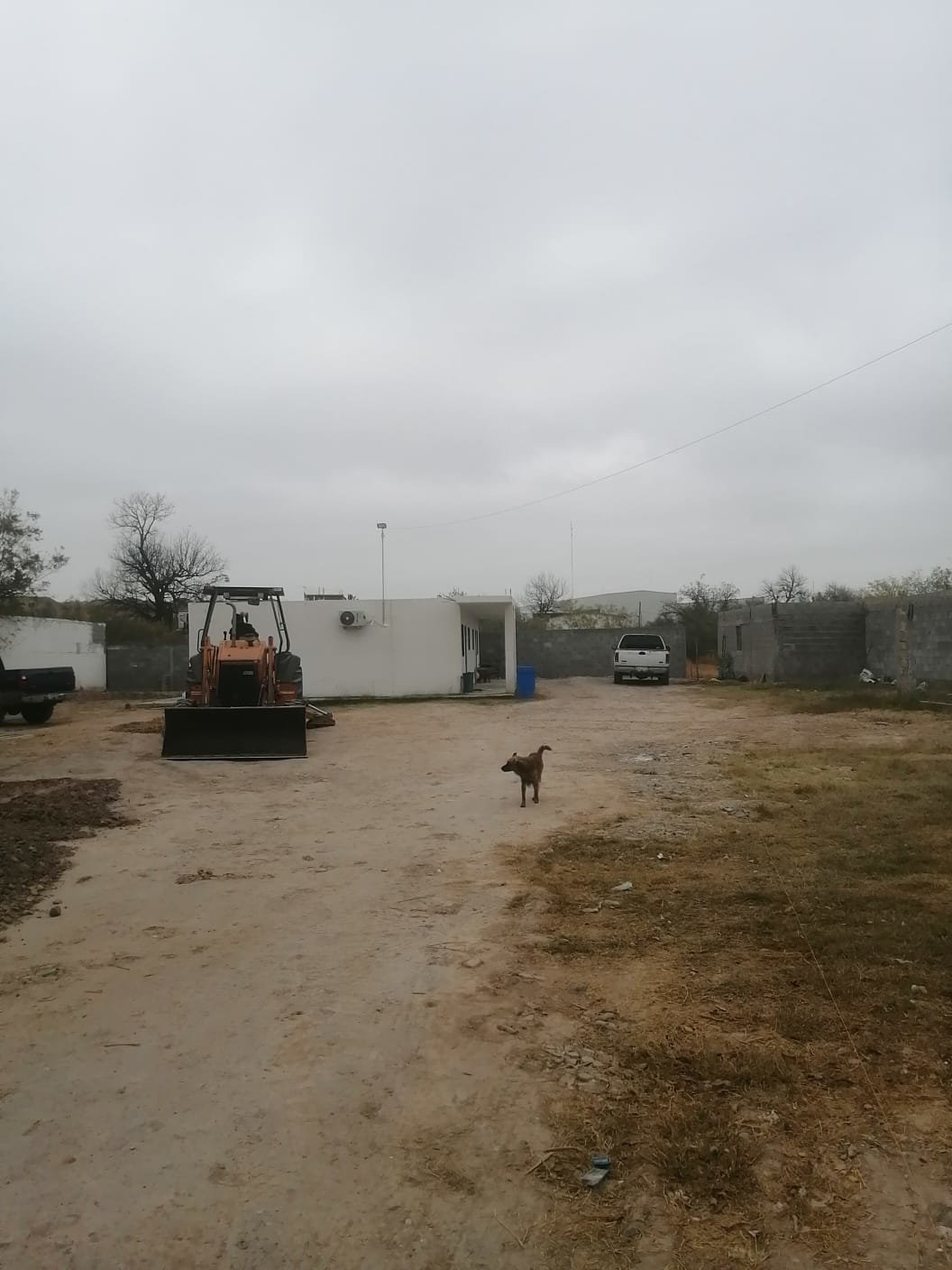 fugas : Urgente intervención de autoridades ante las fugas, especialmente la de la finca \'La Constancia\'.
