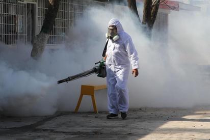 Coahuila registra disminución en casos de dengue y mantiene acciones de control