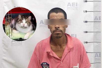 Primera sentencia por maltrato animal en Chihuahua, un año de prisión por torturar a 'Gatito'
