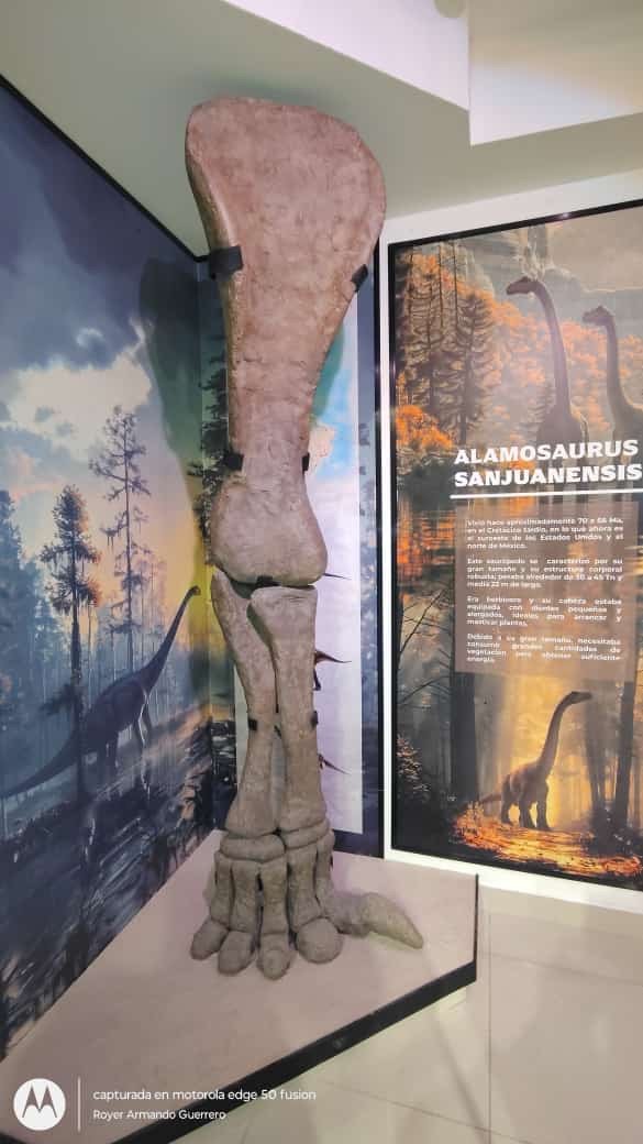 Ramos Arizpe: Un lugar que celebra el legado histórico y cultural del municipio.