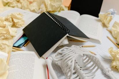 Cómo manejar el fracaso y convertir los errores en oportunidades de aprendizaje 