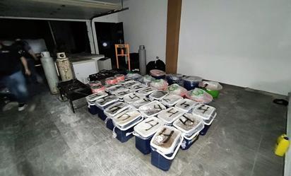 Ejército asegura 98 kilos de metanfetamina en Culiacán