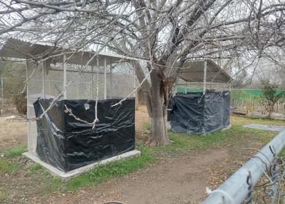 Animales del Ecoparque son protegidos de intenso frío