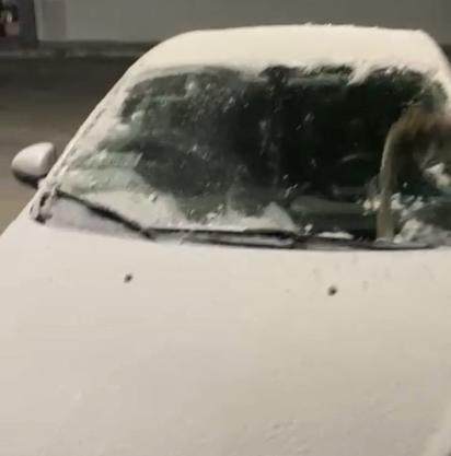 Como descongelar el parabrisas en temperaturas bajo cero